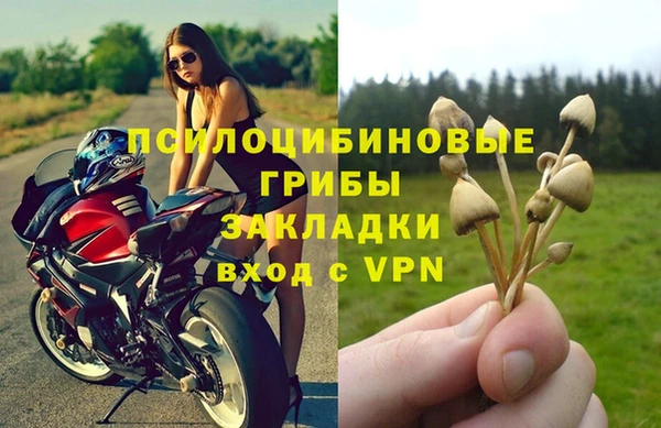 синтетический гашиш Богданович