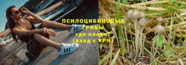 синтетический гашиш Богданович