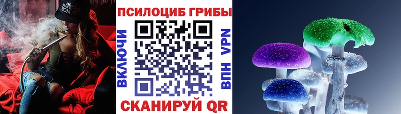 Псилоцибиновые грибы мицелий как найти наркотики Егорьевск